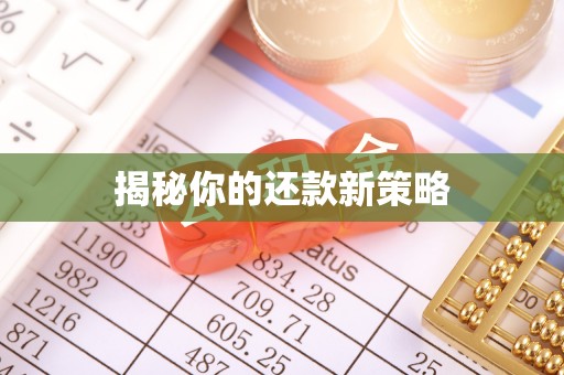 余姚揭秘你的还款新策略